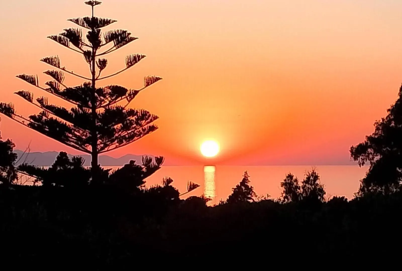 Hébergement de vacances Villa Nuovo Aliru à Campofelice Di Roccella