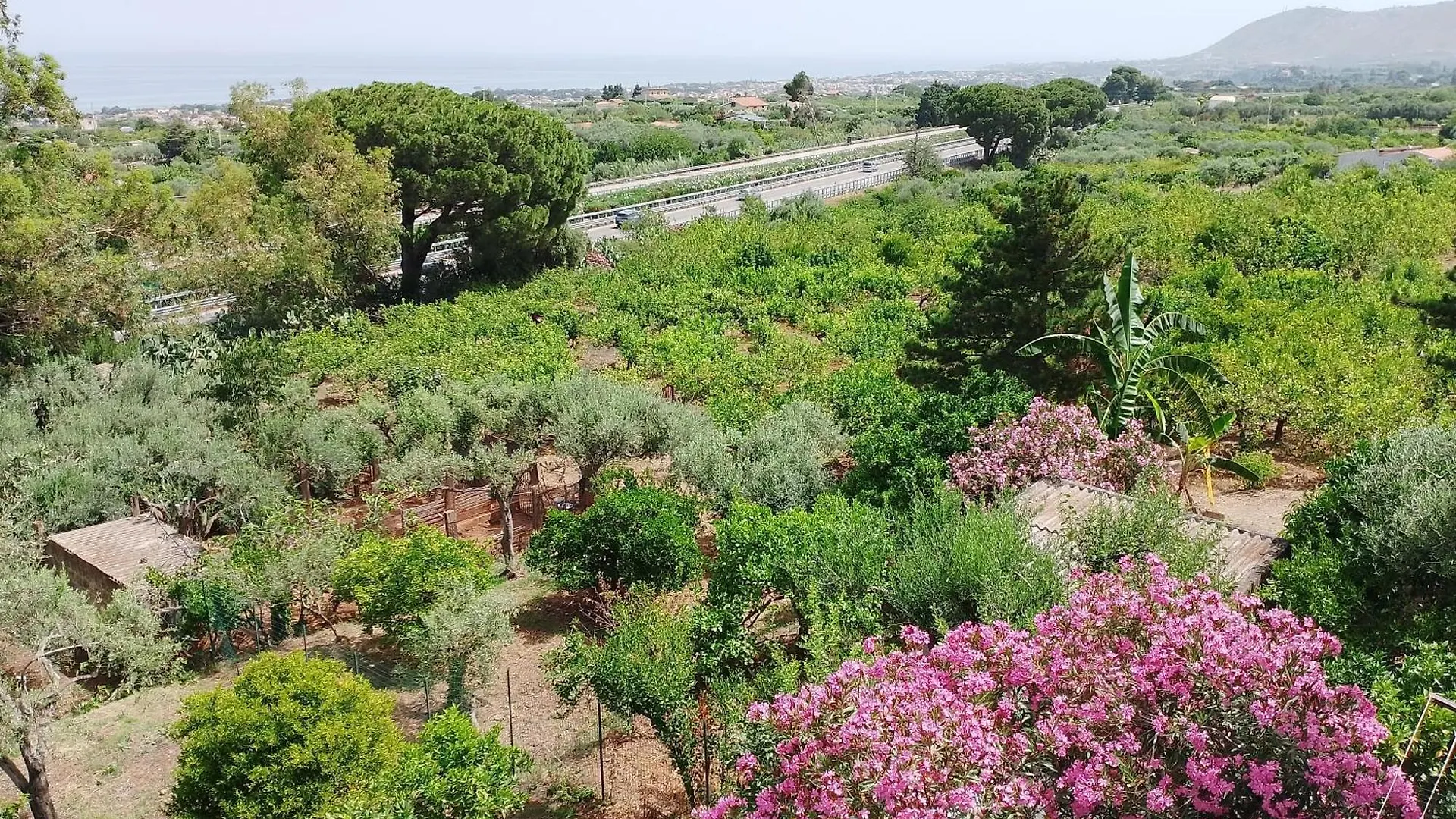 Villa Nuovo Aliru à Campofelice Di Roccella